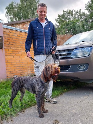 Новые владельцы